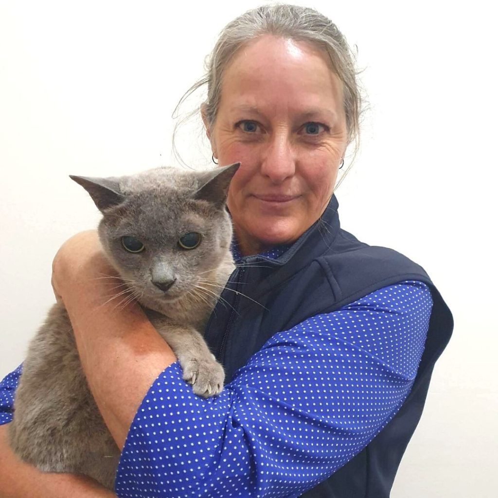 Aldgate Vet Clinic - Nurse Kylie with cat
